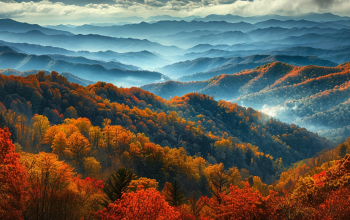 Explore Great Smoky Mountains National Park: A Comprehensive 5-Day Itinerary for Nature Enthusiasts