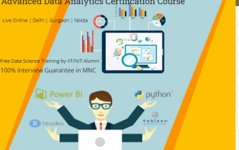 Job Oriented Data Analyst Training Course in Delhi, 110095. Job