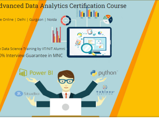 Job Oriented Data Analyst Training Course in Delhi, 110095. Job