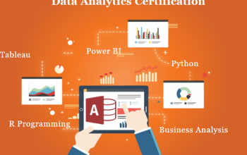 Job Oriented Data Analyst Certification Course in Delhi, 110053. Job