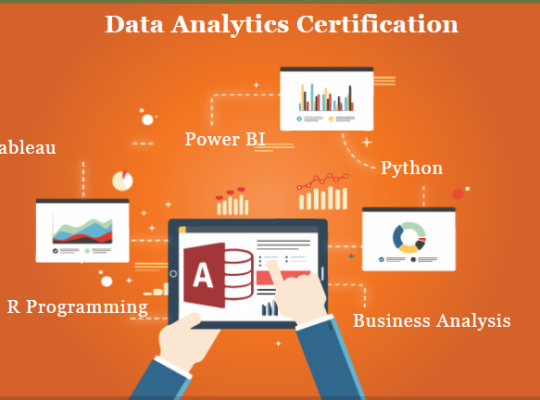 Job Oriented Data Analyst Certification Course in Delhi, 110053. Job