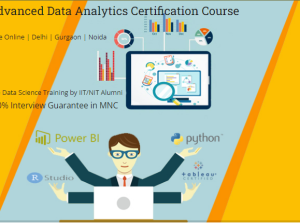 Job Oriented Data Analyst Course in Delhi.110016. Best Online Live