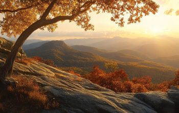 Shenandoah National Park – 쉐넌도어 국립공원